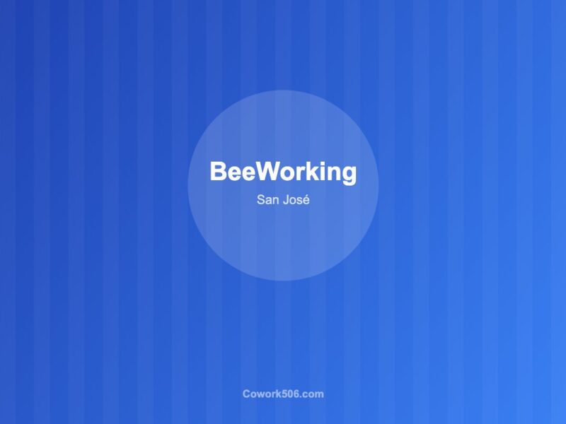 BeeWorking