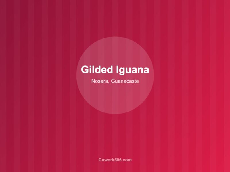 The Gilded Iguana