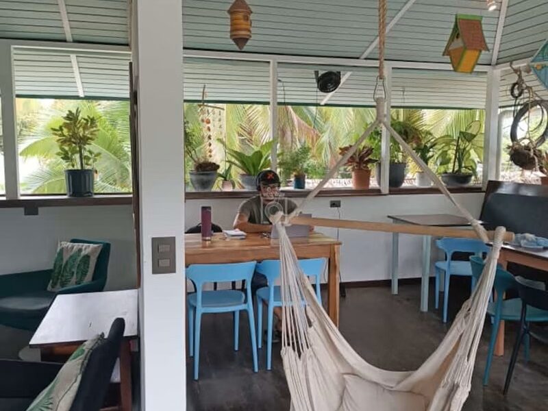 BOA Coworking Space - Above The Green Jaguar