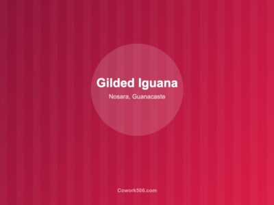The Gilded Iguana